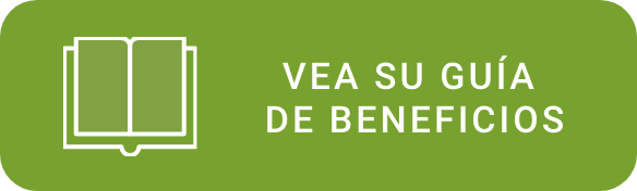 guide-spanish