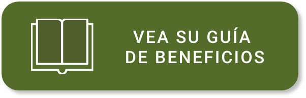 guide-spanish